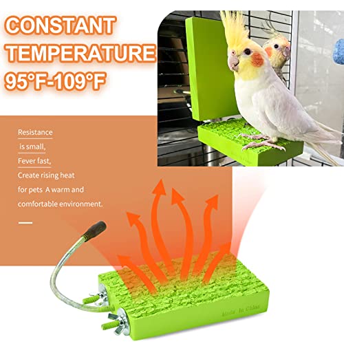 GIFANK Bird Heater For Cage Bird Perch Stand Warmer Snuggle Up For African Grey, Parakeets