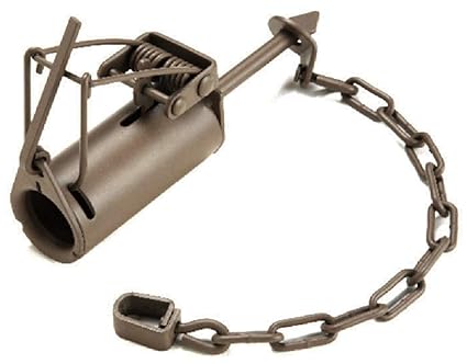 trapping - How to trap and relocate raccoons? - The Great Outdoors