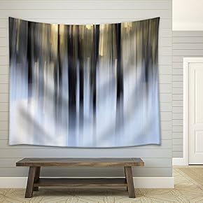 Abstract Winter Forest Scene, Intentional Vertical Blur Done in-Camera. - Fabric Wall Tapestry Home Decor - 51x60 inches