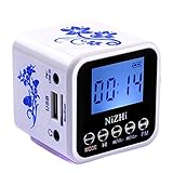 NIZHI Portable mini Speaker with FM Radio, Small Speakers with LCD, Alarm Clock , Micro tf Card, HD 5W, 6 Hours Playtime, Usb mp3 music player for Apple iPhone, iPad, Samsung GALAXY Series