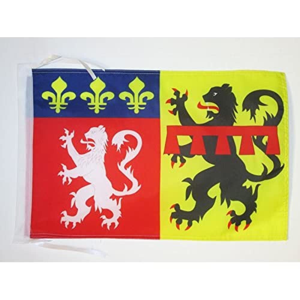 AZ FLAG - Rhône Flag - 18'' x 12'' - 100% Polyester French department - France Small Banner with Two Cords - Fade Resistant - Vivid Colors - 18x12 in - 45x30 Cm — image 1