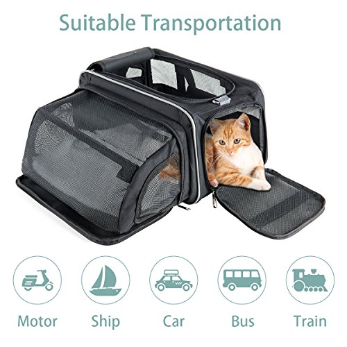 FYPO Travel Cat Carrier for Cats Large, Soft Sided Collapsible Cat