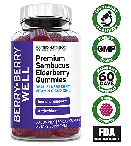 Premium Fresh Elderberry Gummies | Fresh Pectin, Zinc & Vitamin C | Big Immune System Booster - Real Black Elderberries, NO Gelatin, NO Fructose, Gluten Free | Immune Support & Berry Delicious* (2)