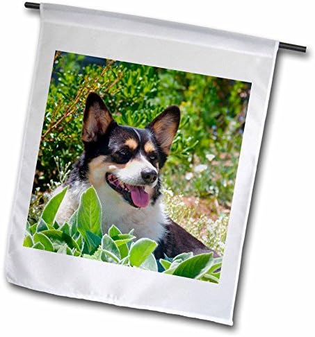 Danita Delimont - Dogs - Pembroke Welsh Corgi sitting in garden, MR and PR, - 12 x 18 inch Garden Flag (fl_209742_1)