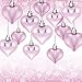 Boao 24 Pieces Heart Shaped Ornaments Valentine's Day Heart Ornament for Valentine's Day Decoration, 2 Styles(Pink)
