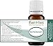 Rosemary Essential Oil 10 ml. 100% Pure Undiluted Therapeutic Grade for Aromatherapy Diffuser, Stimulates Hair Growth and Dandruff Control.