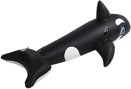 whale pool float
