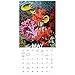 Our Oceans Wall Calendar (2019)
