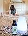 Basil Oil - 100% Pure and Natural - 4 Oz. with Glass Dropper - Therapeutic Grade - Excellent for Removing Bacteria, Purifying Air, Aromatherapy, Massage, and Ear Infections by Essential Oil Labs