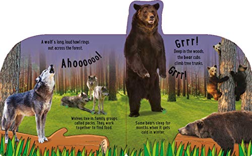 Discovery: Growl with the Animals! (10-Button Sound Books) - //medicalbooks.filipinodoctors.org