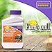 Bonide (BND880) - Fungal Disease Control, Fung-onil Multi-Purpose Fungicide Concentrate (16 oz.) primary