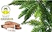 Artisan Tropic Cassava Strips - Your Tasty and Healthy Snack Alternative - Paleo, Gluten Free, Vegan, Non-GMO - Made With Sustainable Palm Oil (Sea Salt, 4.5 oz|2 pack)