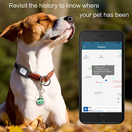 BARTUN GPS Pet Tracker, Cat Dog Tracking Device with Unlimited Range (Black)