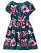 Gymboree Girls' Toddler Graphic Print Dressy Dress
