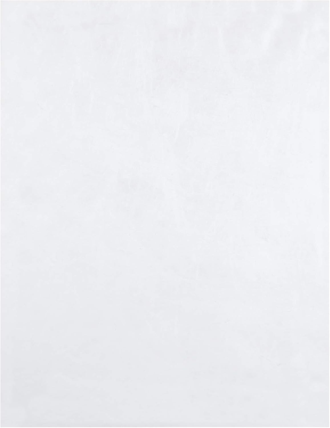 Quality Park R1790 Quality Open End Tyvek Envelopes, 12x15-1/2, White, 100/Box : Envelope Mailers : Office Products