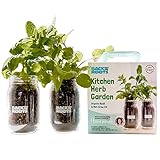 Organic Indoor Herb Garden Kit by Back to the Roots - Non-GMO Basil and Mint Plants Starter Kit with Organic Seeds, Organic Soil, Biochar, and an Ayesha Curry Recipe Book