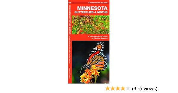 Pictures Of Moths In Mn