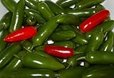 Serrano Hot Pepper 4 Plants - Great for Salsa!
