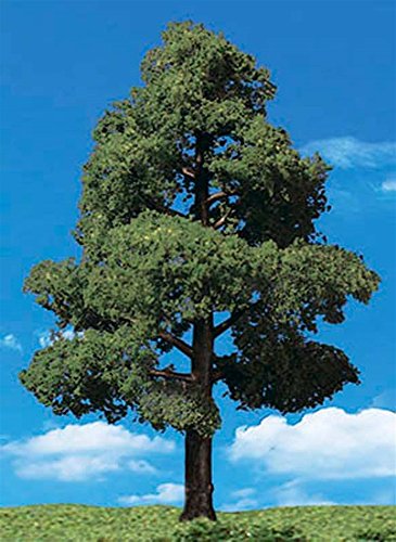 Classics Tree, Sun Kissed .75-1.25" (8)