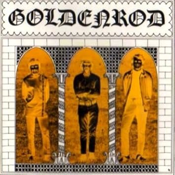 Goldenrod Amazon Com Music