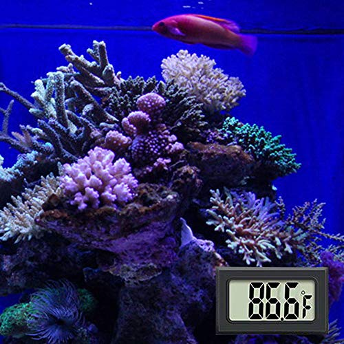 4 JEDEW+Thermometer+Temperature+Refrigerator+Fahrenheit