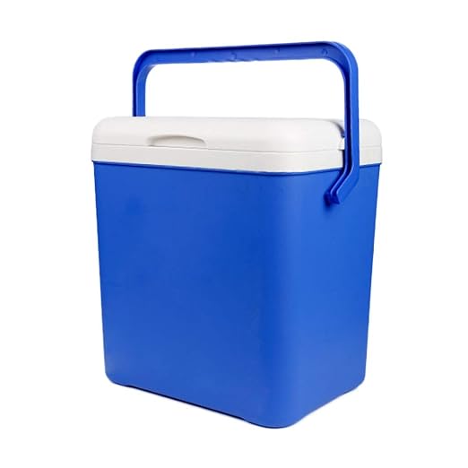 UCYG 26L Portatil Nevera Termoeléctrica Rígida, Pequeña Cooler ...