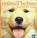 Animal Babies Around the House