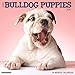 Just Bulldog Puppies 2017 Wall Calendar (Dog Breed Calendars)