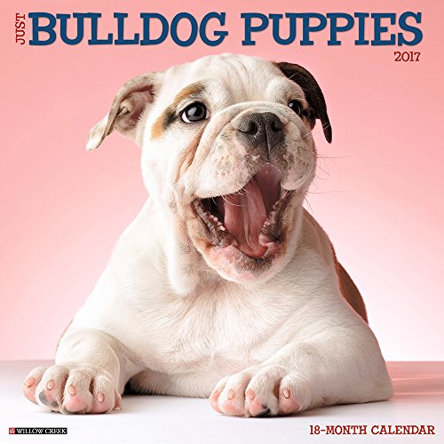 Just Bulldog Puppies 2017 Wall Calendar (Dog Breed Calendars)