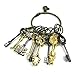 Rulercosplay Fairy Tail Lucy New Collection Set of 25 Golden Zodiac Keys and Chain