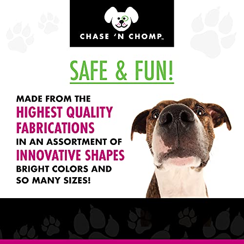 amazing squeaker ball