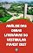 Livro Análise das Obras LIterárias do Vestibular FUVEST 2027: O Guia Completo para Dominar as 9 Leituras Obrigatórias com Plano de Estudos e Análises Intertextuais (O essencial para vestibulares)