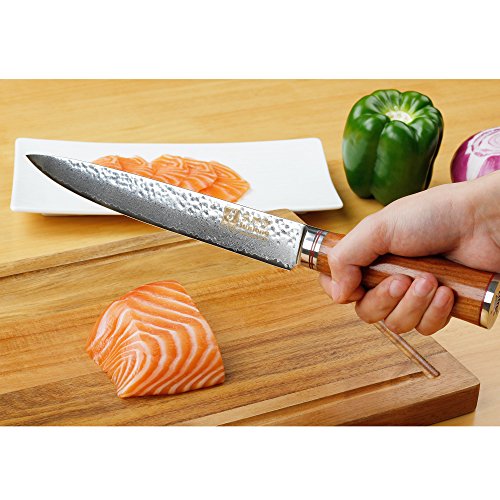 Sunlong 8 Inch Damascus Sashimi Sushi Knife,Best Quality Japanese VG10 Super Steel 67 Layer Damascus,Sharp Double-sided Blade, Environmentally Friendly RoseWood Handle SL-DK1046R