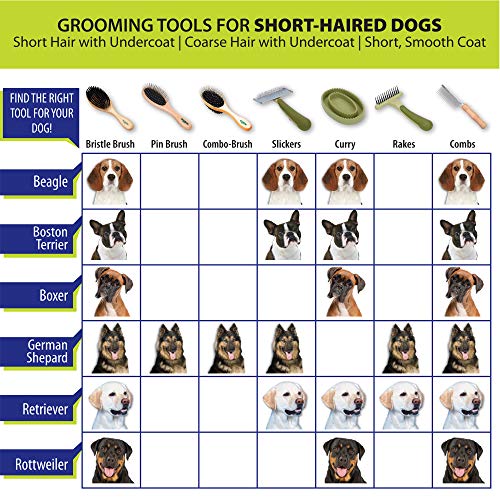 4 SAFARI+Flea+Double+Teeth+Prevention