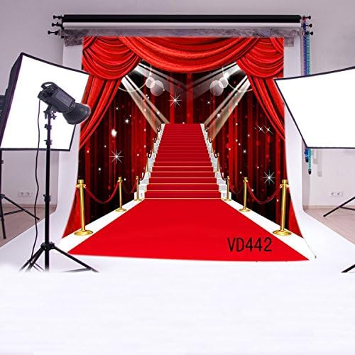 LB10x10ft Red Carpet Vinyl Photography Backdrop Customized Photo Background Studio Prop VD442