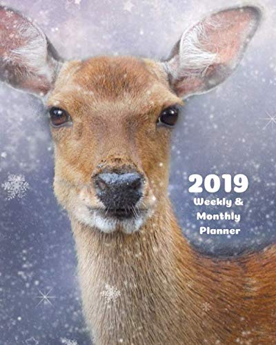 2019 Weekly and Monthly Planner: Deer Daily Organizer -To Do -Calendar in Review/Monthly Calendar with U.S. Holidays-Notes Volume 39 by All In A Day