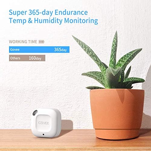 Govee Wireless Thermometer Hygrometer for House and Garden Build A