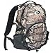 Mossy Oak Silver Leaf 1 Day Pack, 17 x 15 x 7, Mossy Oak Infinity