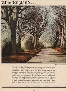 Beer Advert. Bass & Worthington - 1951 - Old Print - Antique Print - Vintage Print - Printed Prints of Food