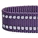 Blueberry Pet Essentials Safe & Comfy 3M Reflective Adjustable Dog Collar - Violet, Large, Neck 18