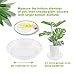 Remiawy Clear Plant Saucers 6 Pack Flower Pot Drip Trays for Indoor & Outdoor Plants Garden Saucers Plant Pot Saucer Trays, 12 Inchthumb 4