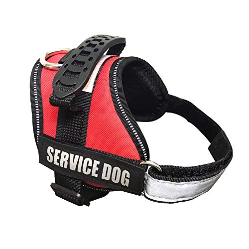 The 5 Best Service Dog Vests Dogtime