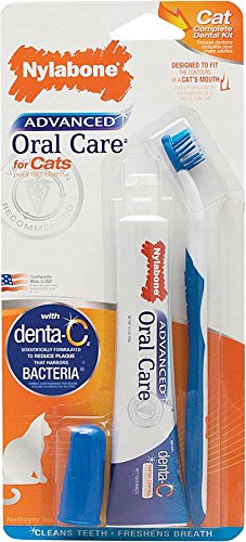 Nylabone Advanced Oral Cat Dental kit