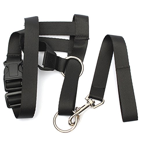 Buy Zeroyoyo Adjustable Pet Dog Puppy Head Halter Buckle Muzzle Headcollar Nylon Strap Training