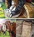 DAN Animal Handling Gloves For Cat Dog Bird Snake Parrot Lizard,Anti-bite/scratch Gardening Wild Animals Protection Gloves