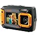 Coleman Duo2 2V9WP-O 20 MP Waterproof Digital Camera with Dual LCD Screen (Orange)