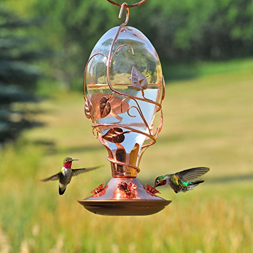Perky Pet Looking Glass Hummingbird Feeder Buy Online See