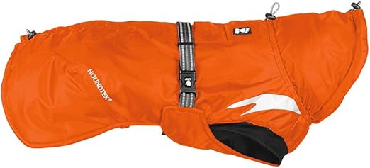 funny great dane pictures