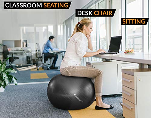 4 Exercise+Ball+Balance+Stability+SmarterLife