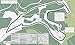 Grand Prix Circuits: History and Course Map for Every Formula One Circuit